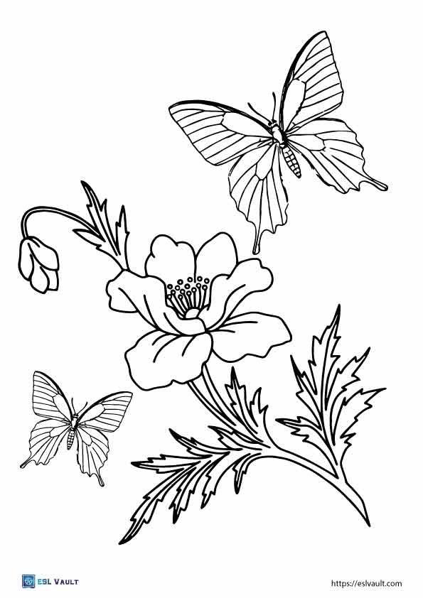 2 butterfly coloring page printable with flower