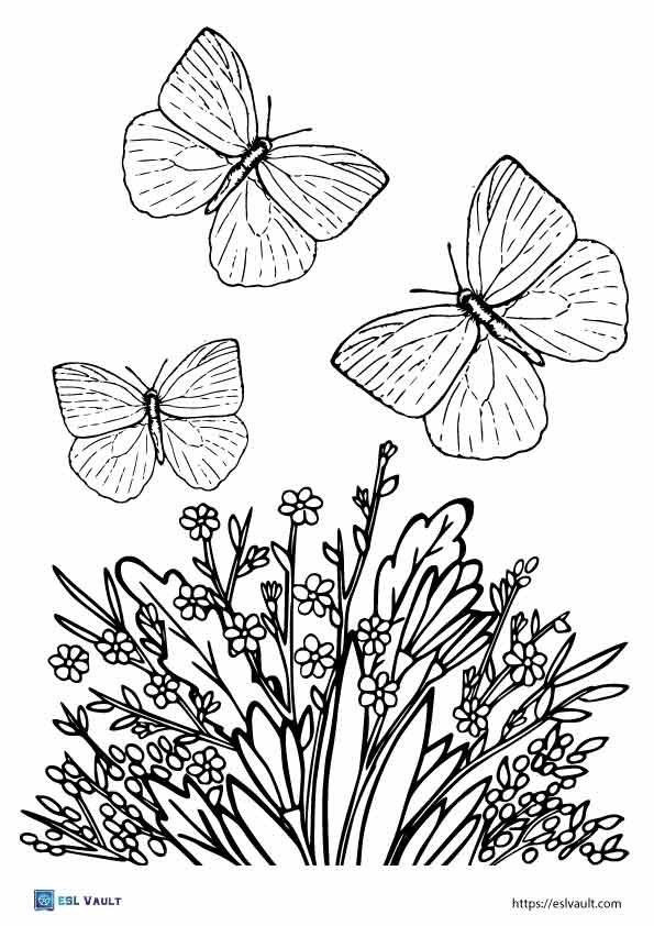 caterpillar and butterfly coloring page