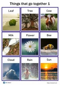 things that go together cards 1