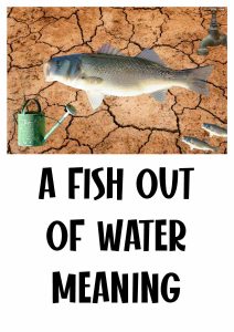 a fish out of water meaning featured image