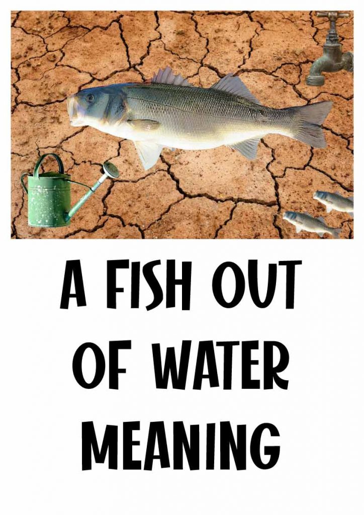 Fish Out Of Water Meaning Origin