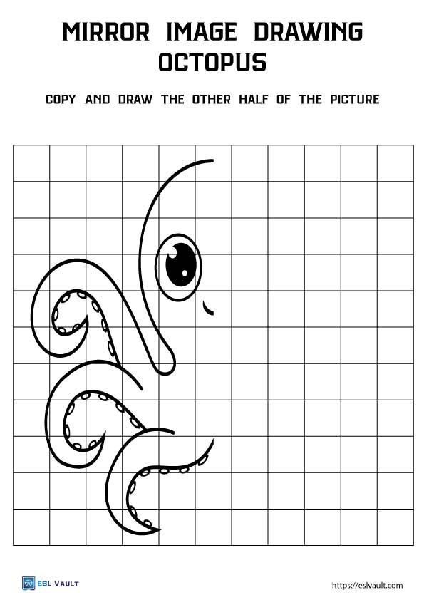 animal mirror image worksheet octopus
