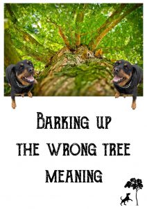 barking up the wrong tree meaning