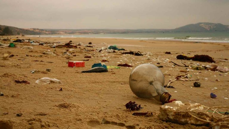 beach pollution