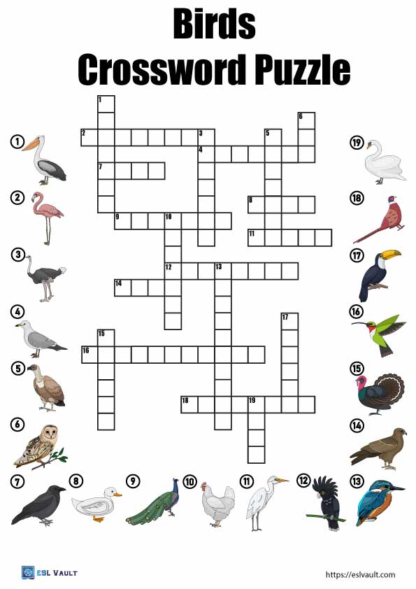 birds crossword puzzle
