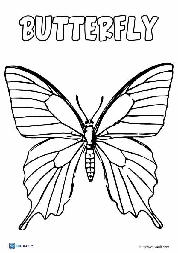 10 cute butterfly coloring page printables - ESL Vault