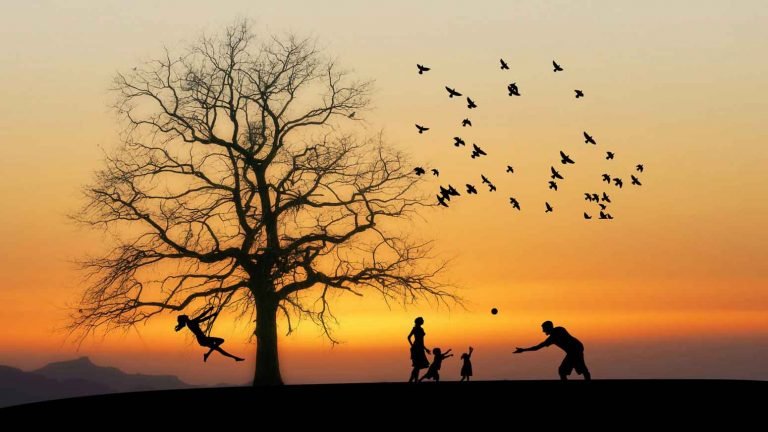 family playing under a tree at sunset