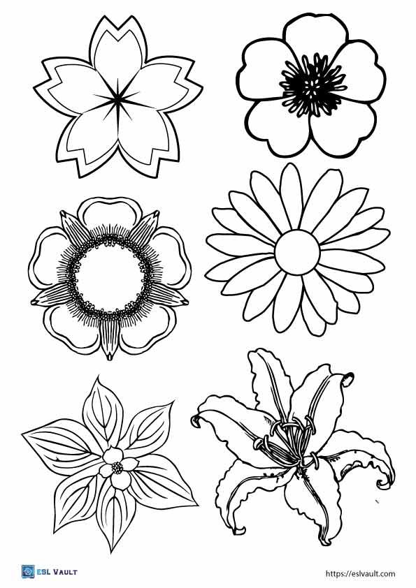 120 free printable flowers to cut out (PDF) ESL Vault