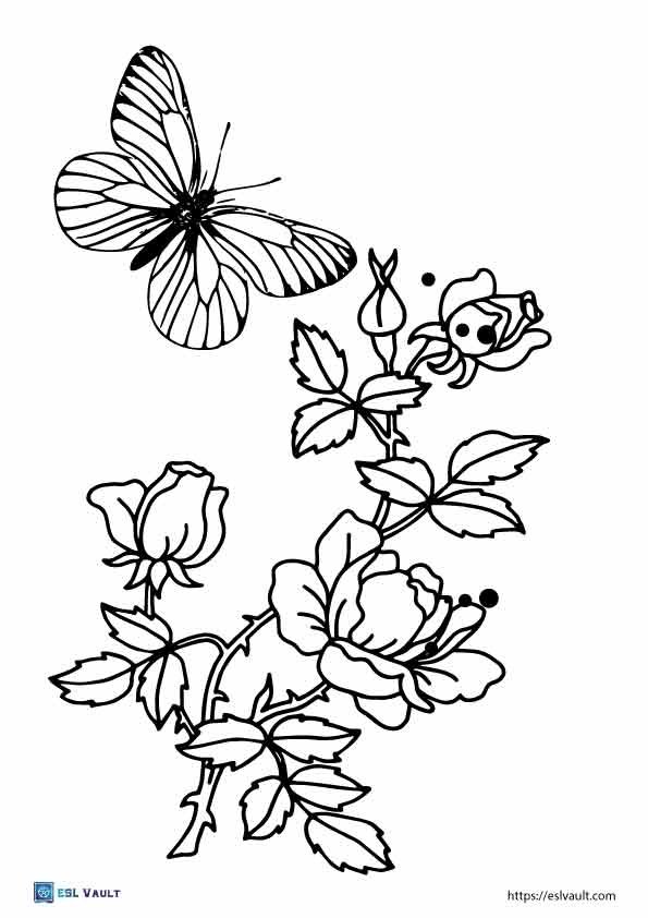 rose and butterfly coloring page printable