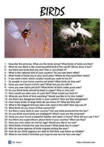 25 discussion questions about birds