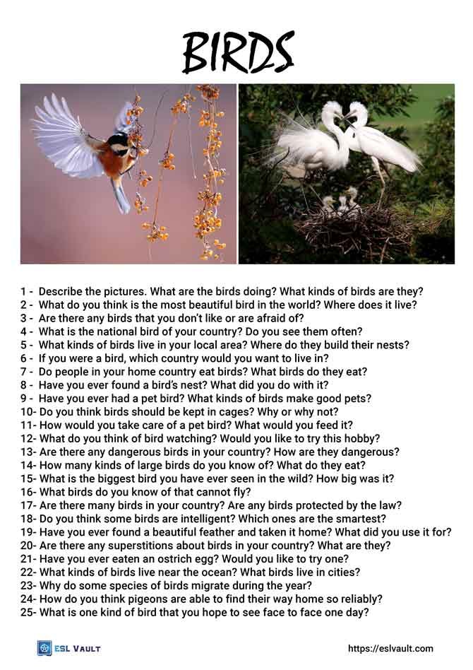 25 Fears Conversation Questions Esl Vault 25 Fears Conversation Questions Esl Vault