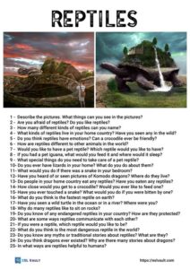 25 reptile conversation questions