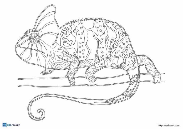 chameleon coloring page 2