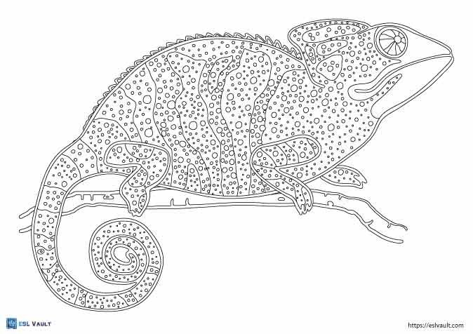 chameleon lizard coloring page