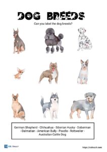 9 dog breeds worksheet