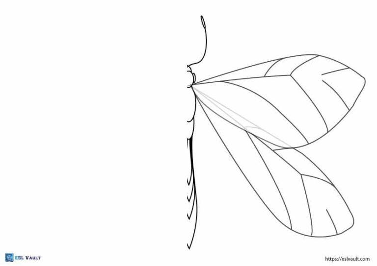 dragonfly finish the drawing worksheet