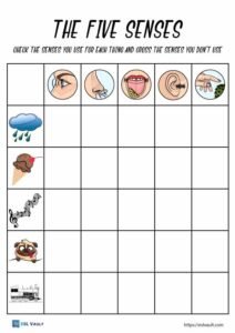 five senses worksheet