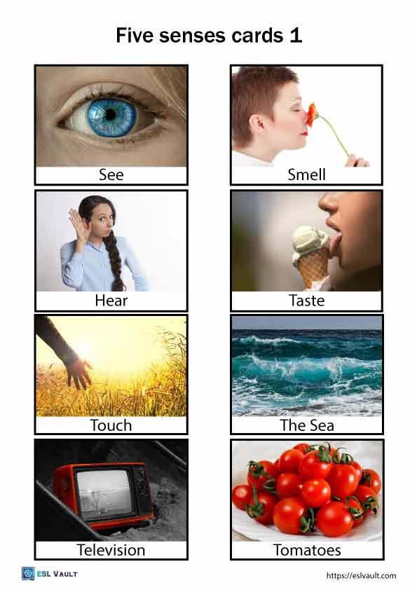 five senses cards 1