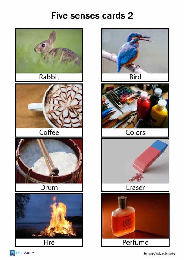 five senses cards 2