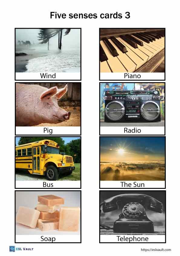 five senses cards 3