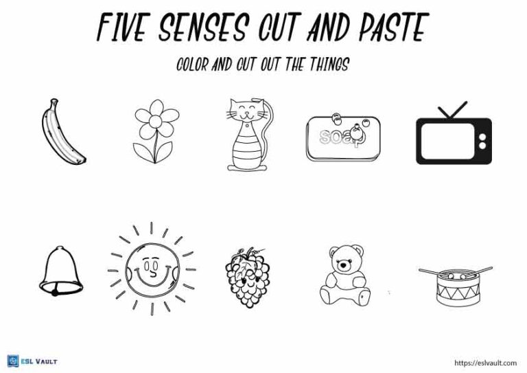 five senses coloring page