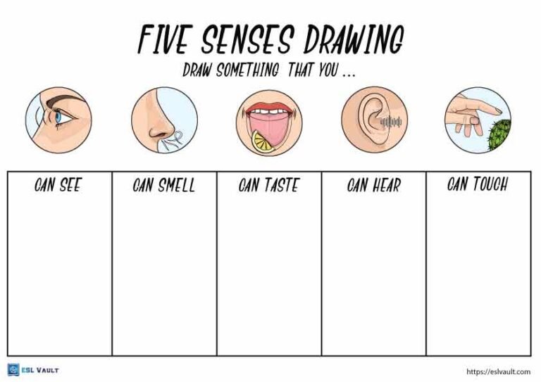 five senses drawing worksheet