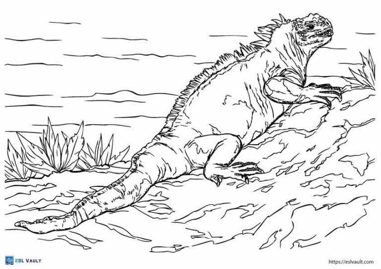 iguana coloring page