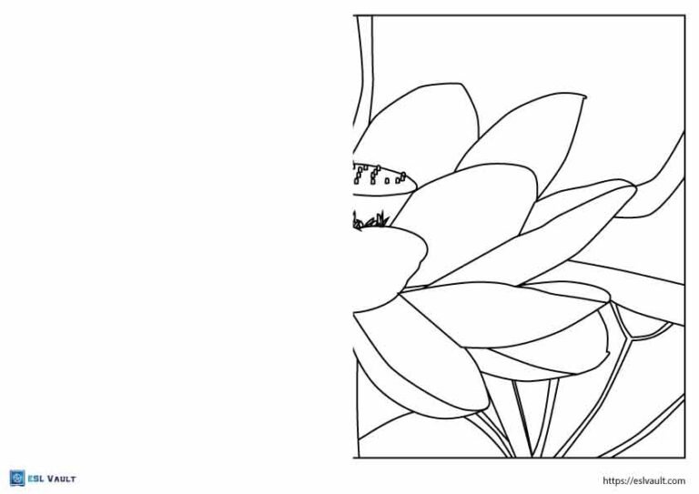 lotus finish the drawing worksheet