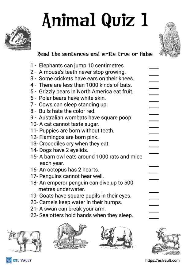 printable animal quiz worksheet