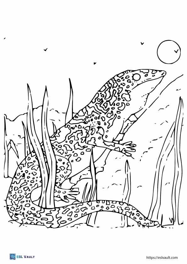 realistic lizard coloring pages 1