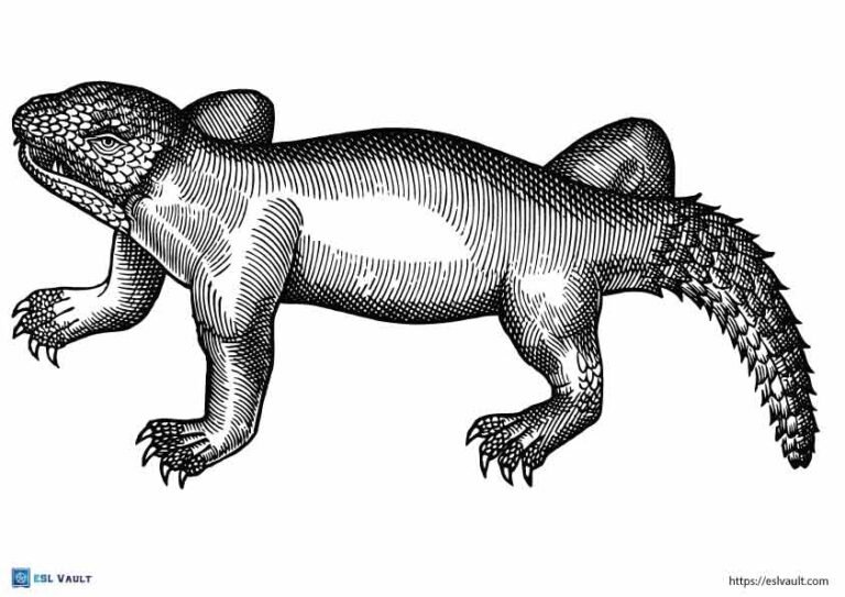 strange lizard coloring page