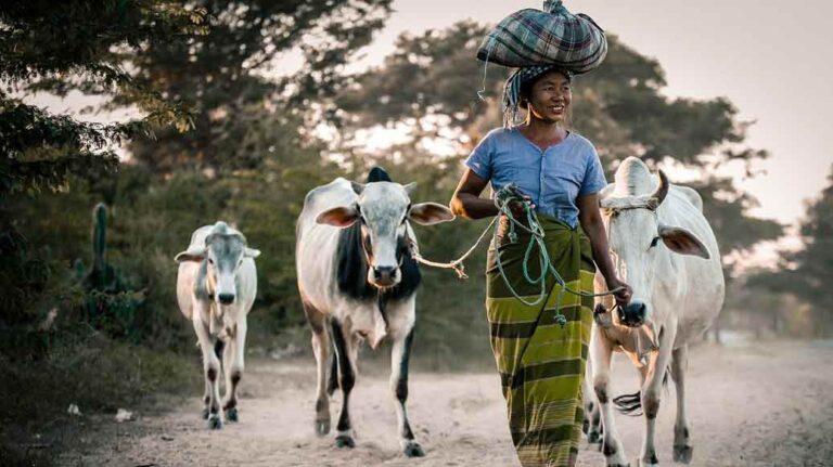 a happy woman with cattle