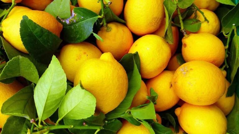 a pile of lemons for fruit idioms