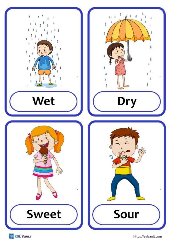 opposites flashcards 10