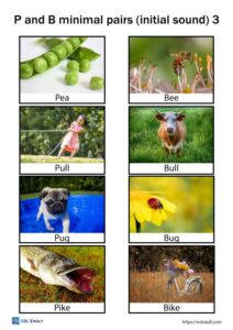 P And B Minimal Pairs - ESL Vault