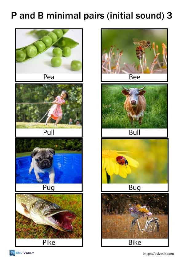 p and b minimal pairs initial sound 3