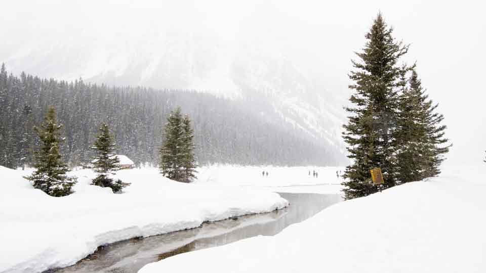 A white christmas landscape