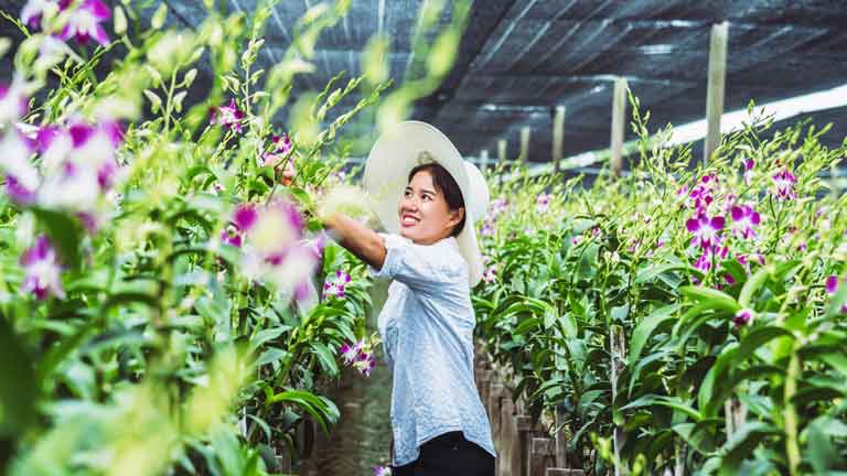 a woman gardening in an orchid nursery