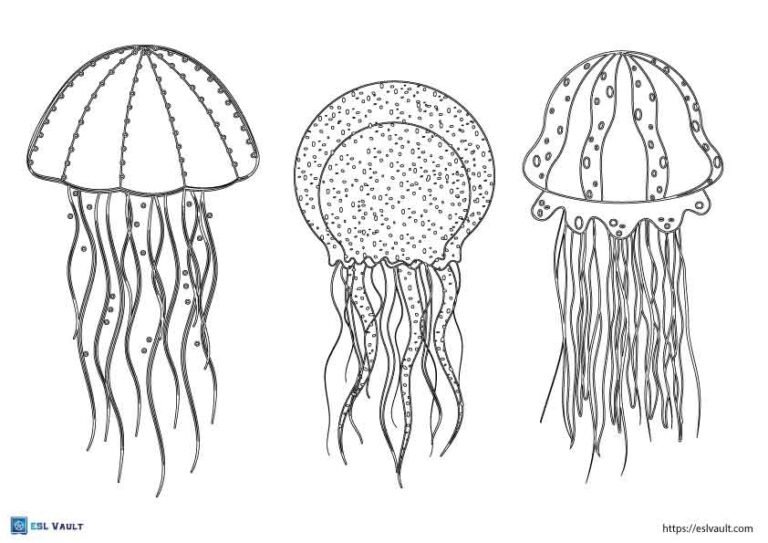 adult jellyfish coloring page landscape