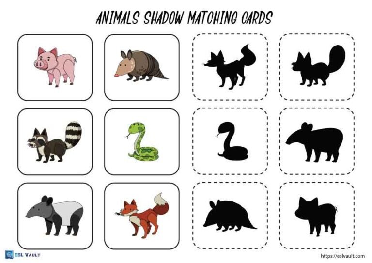 animals shadow matching cards