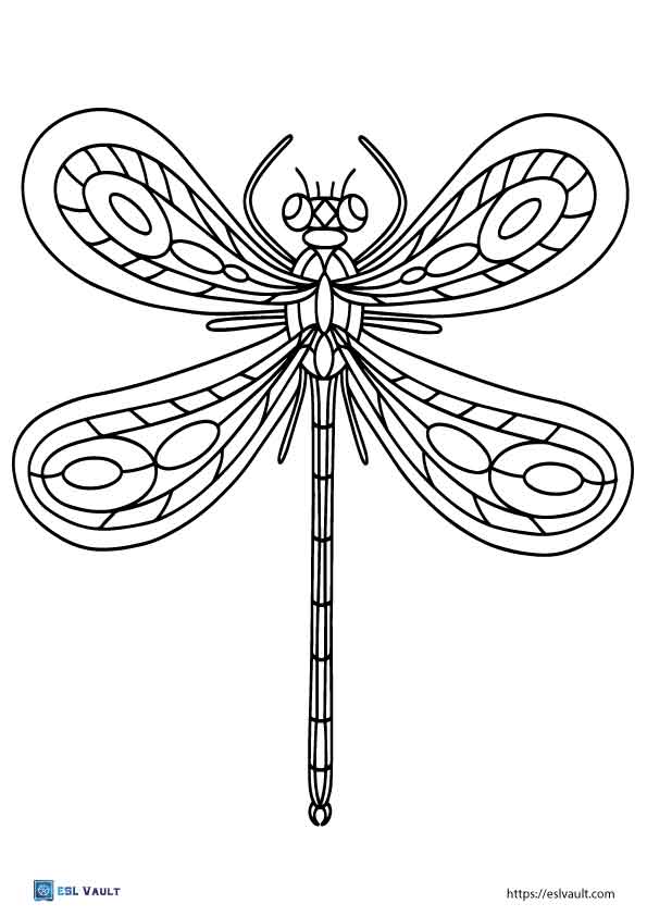dragonfly coloring page 1