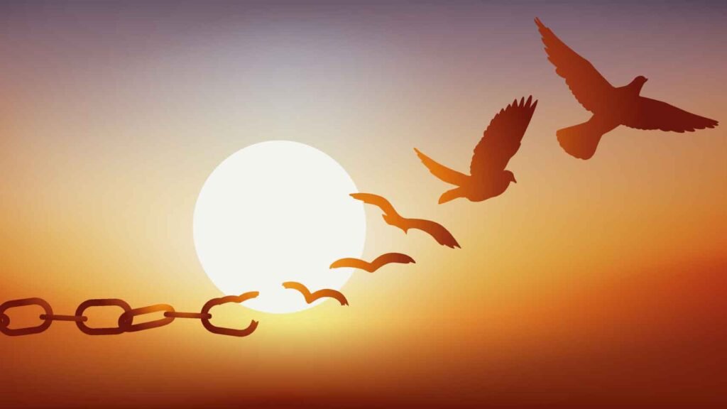hope picture of a bird escaping