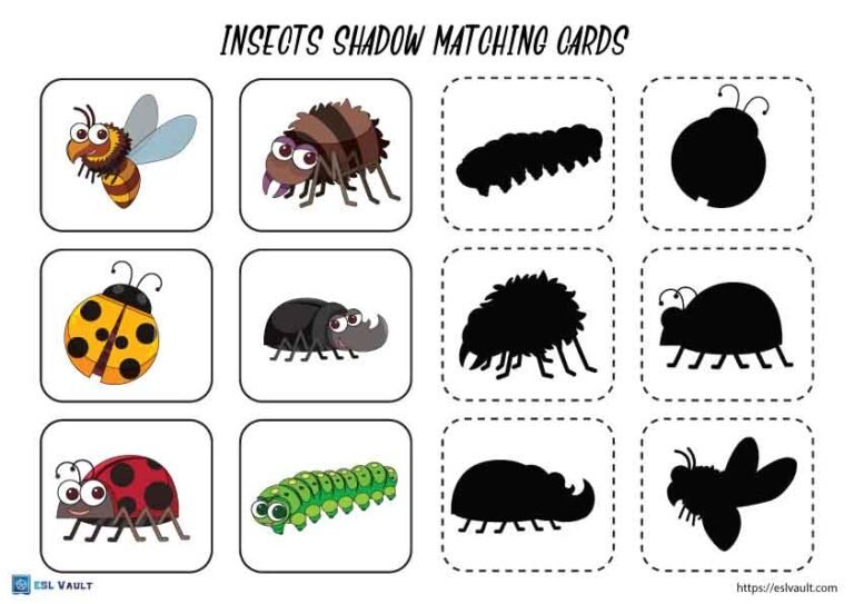 insects free shadow matching cards