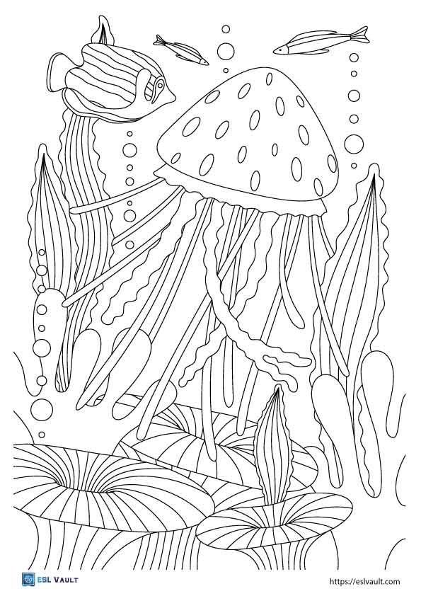 jellyfish coloring page