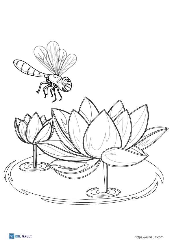 lotus and dragonfly coloring page