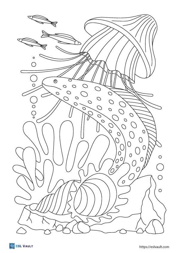 moray eel and jellyfish coloring page