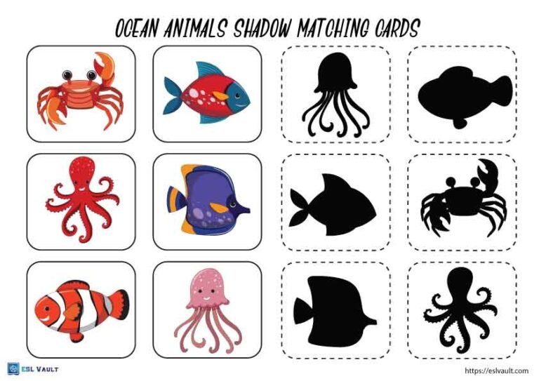 ocean animals shadow matching cards