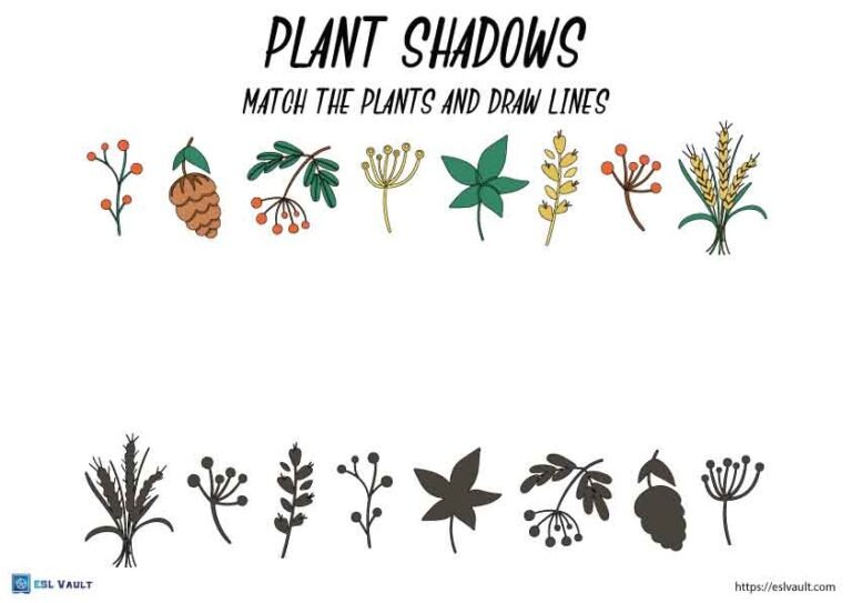 shadow matching worksheets plants