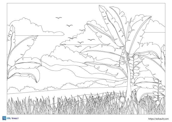 banana palm tree coloring page pdf