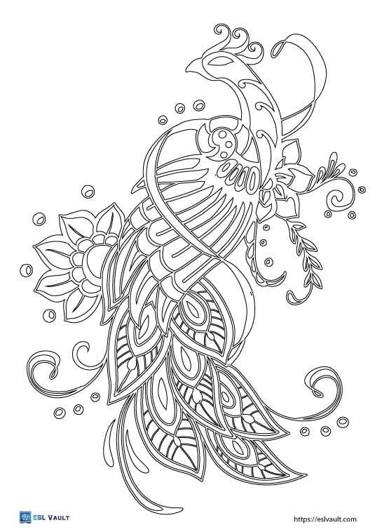 beautiful peacock coloring pages printable